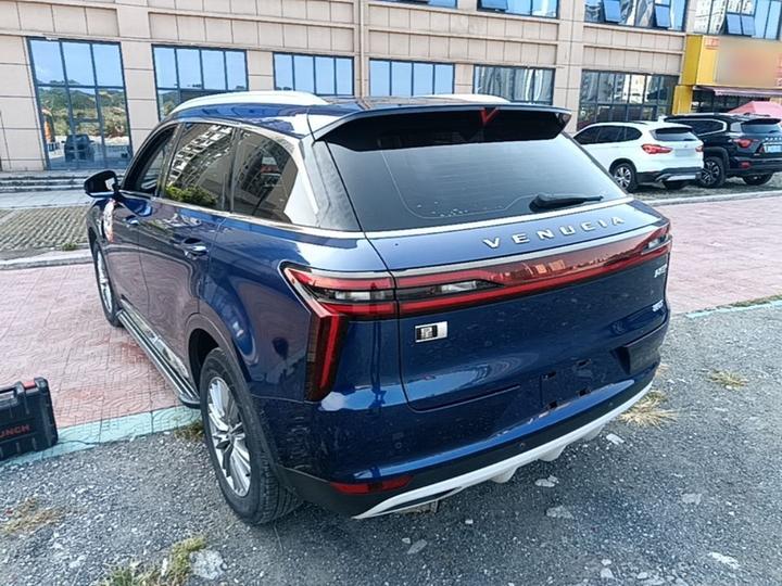 2021 260T AT 48V Mild Hybrid photo 4