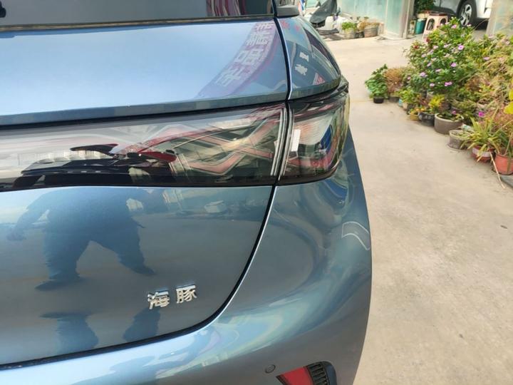 Dolphin 2025 420km photo 7