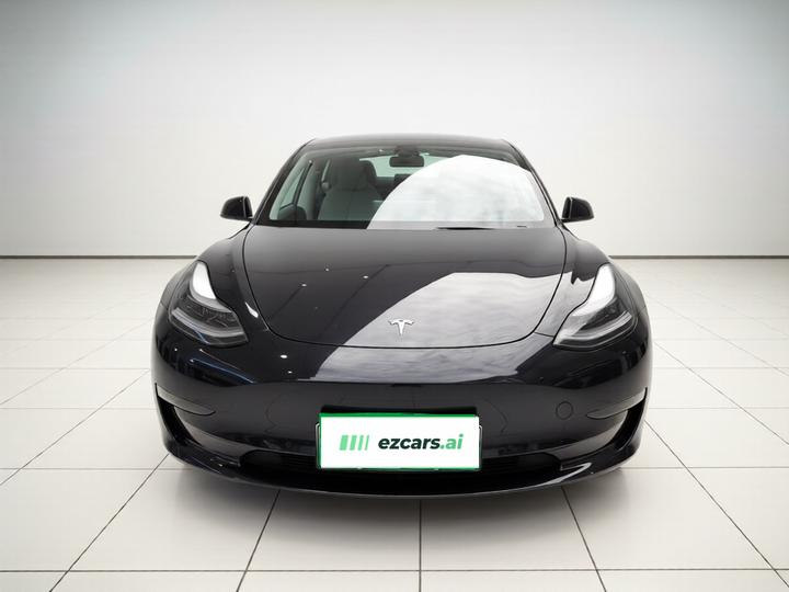 Model 3 2021 Performance AWD photo 2