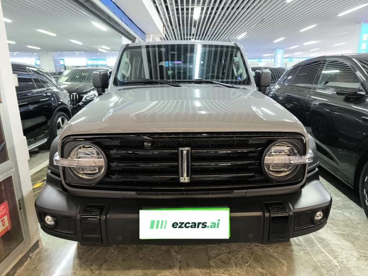 300 2021 Off-road 2.0T Conqueror photo 2