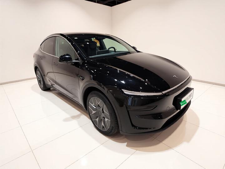 Model Y L 2025 Long Range AWD photo 3
