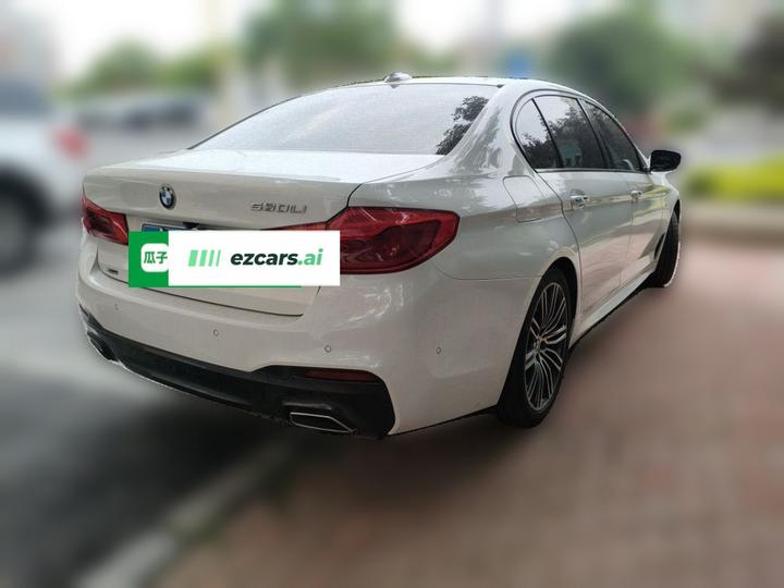 5 Series 2018 530Li xDrive M Sport Package photo 6