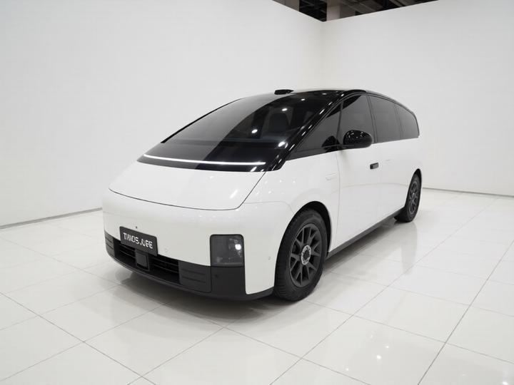 Li MEGA 2025 Home Family Special