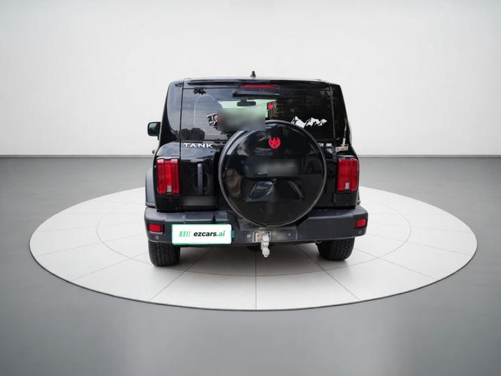 300 2021 Off-road 2.0T Conqueror photo 3