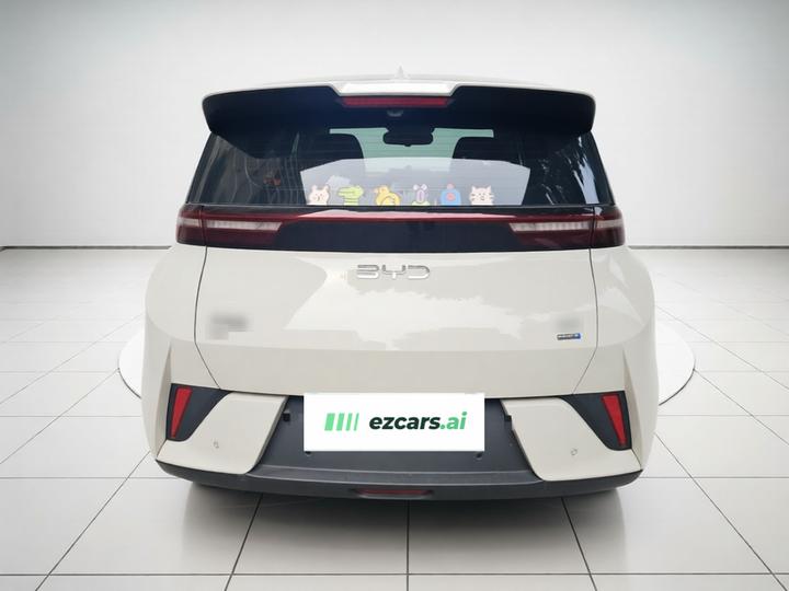 Seagull 2025 ADAS 305km photo 5