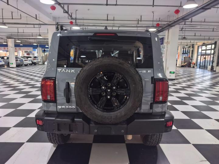 300 2021 Off-road 2.0T Conqueror photo 7