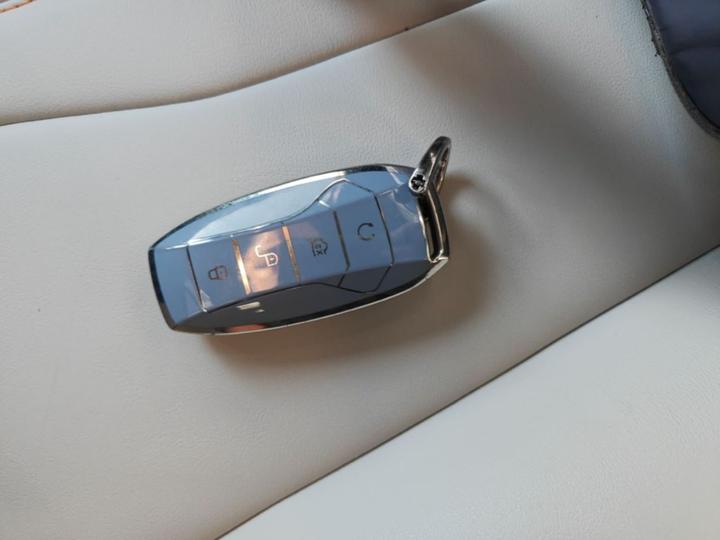 Song PLUS EV 2021 DM-i 110KM Flagship photo 8