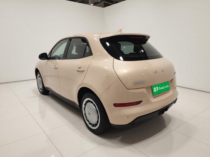 Good Cat 2021 400km Standard Range LFP photo 4