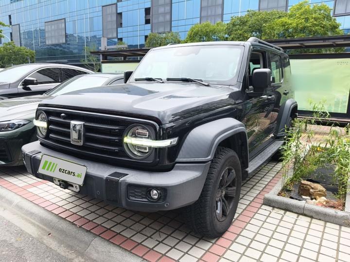 300 2021 Off-road 2.0T Conqueror
