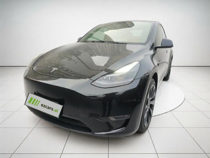 Model Y 2021 Standard Range RWD