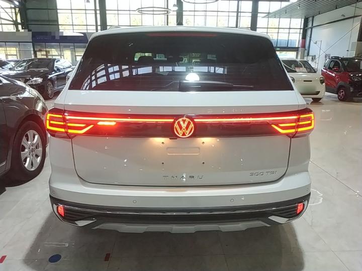 Tharu 2023 300TSI RWD photo 5