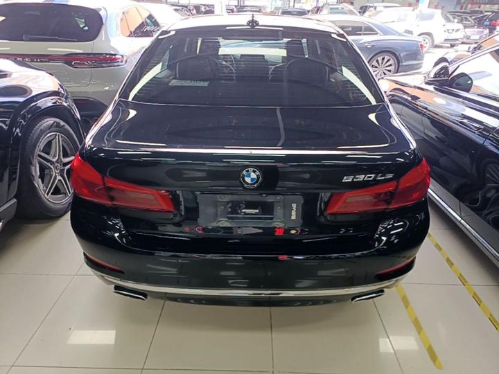 5 Series EV 2019 530Le Luxury photo 5
