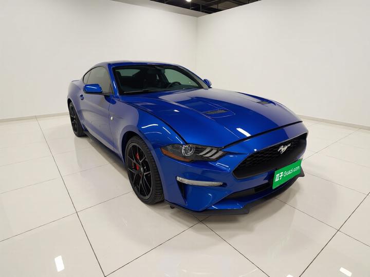 Mustang Parallel Import 2.3T AT Coupe Standard photo 3