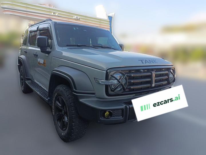 300 2021 Off-road 2.0T photo 3