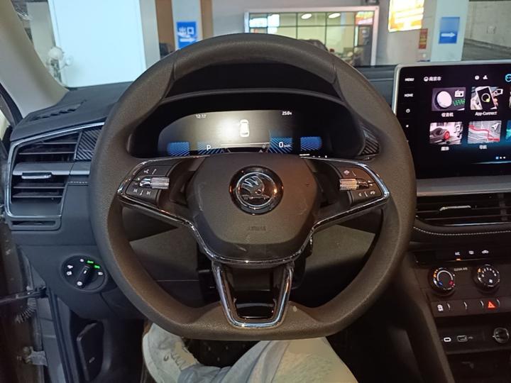 Kodiaq 2024 TSI330 5-Seater RWD photo 6