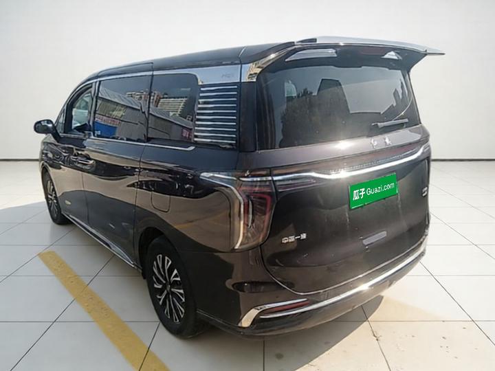 HQ9 PHEV 2024 2.0T AWD Business photo 4