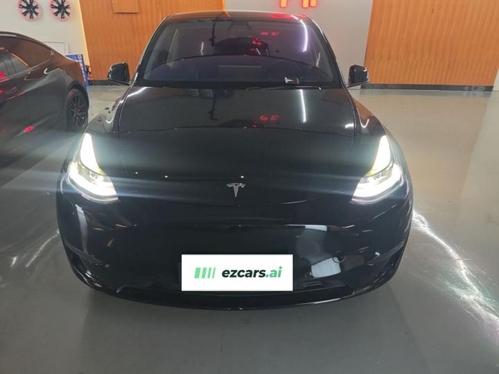 Model Y 2021 Long Range AWD photo 2