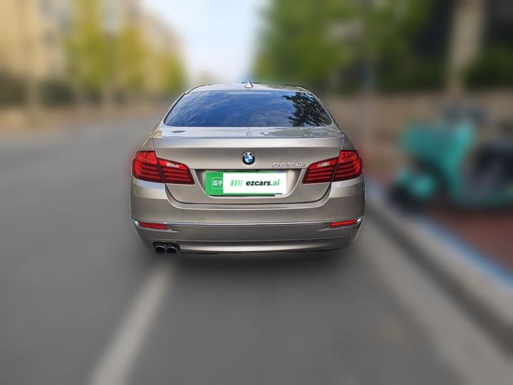 5 Series 2017 525Li Luxury Design Package photo 5