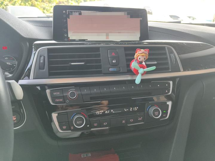 3 Series 2019 320Li M Luxury photo 5