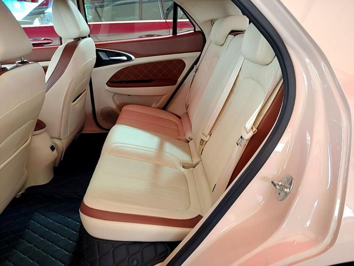 Good Cat 2022 400km Standard Range Luxury LFP photo 4