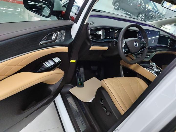 D9 2024 DM-i 980 AWD Noble photo 3