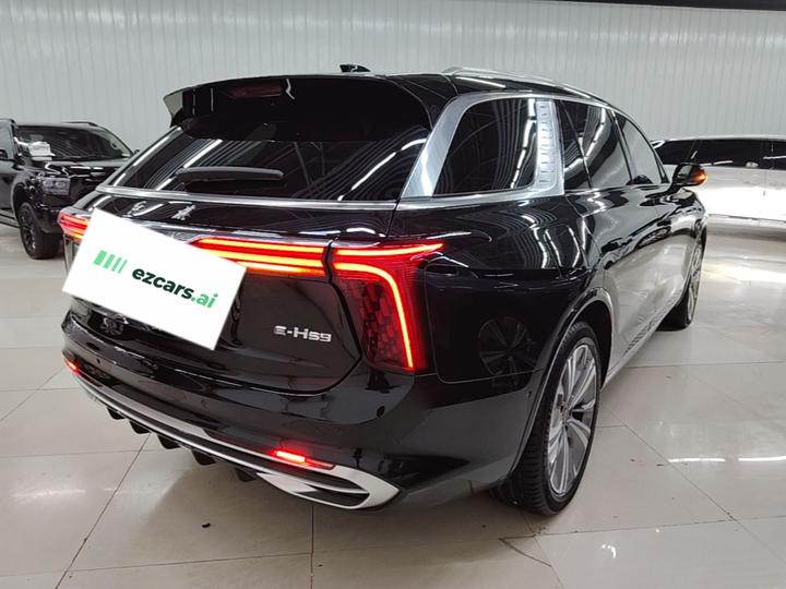 E-HS9 2022 690km 6-Seater photo 6
