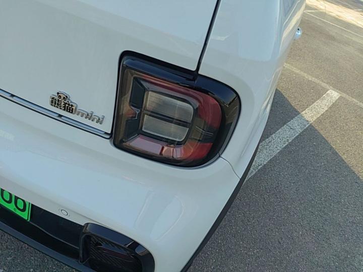 2025 210km Panda photo 7