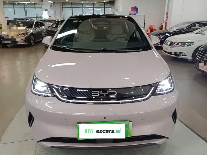 Dolphin 2025 ADAS 410km Fashion photo 2