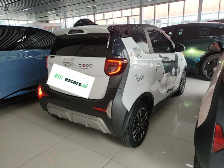QQ Little Ant 2024 251km photo 6