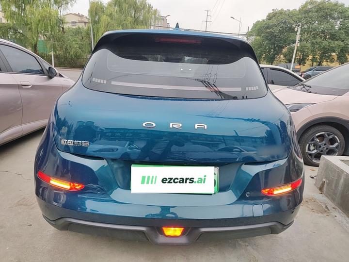 Good Cat 2021 400km Standard Range LFP photo 5