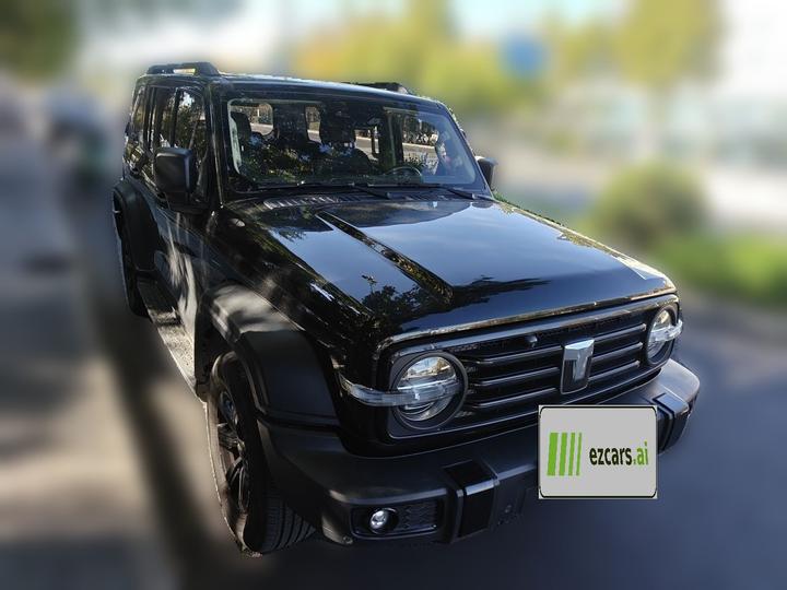 300 2023 Off-road 2.0T Conqueror photo 3