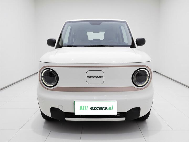2023 Panda mini 200km Endurance Bear photo 2
