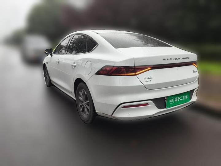 Qin PLUS 2023 Champion DM-i 55KM Leading photo 4