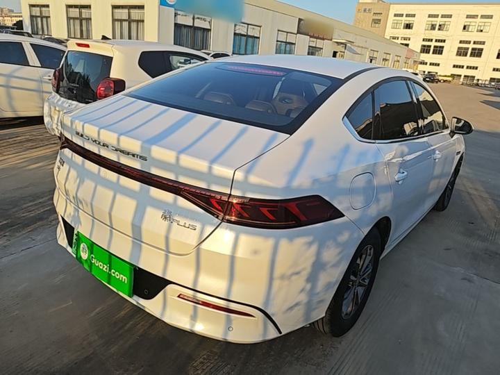 Qin PLUS 2024 Honor DM-i 55KM Leading photo 6