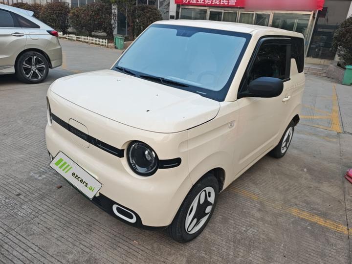 2025 Panda mini 210km Yuan