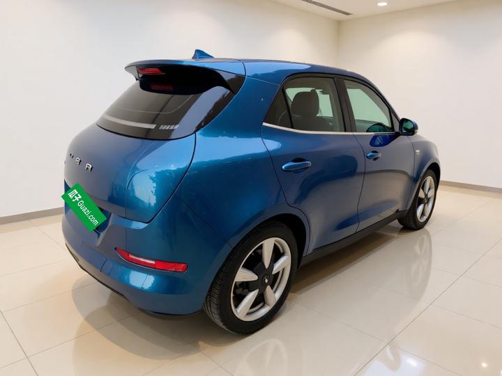 Good Cat 2023 401km Standard Range Luxury LFP photo 4