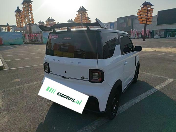 2025 210km Panda photo 6