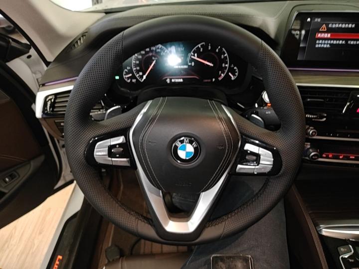 5 Series 2019 530Li Exclusive Luxury photo 6
