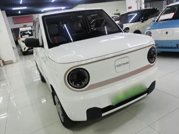 2023 Panda mini 200km Endurance Bear photo 3