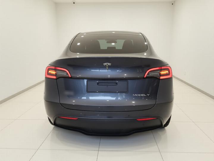 Model Y 2021 Long Range AWD 3D7 photo 5