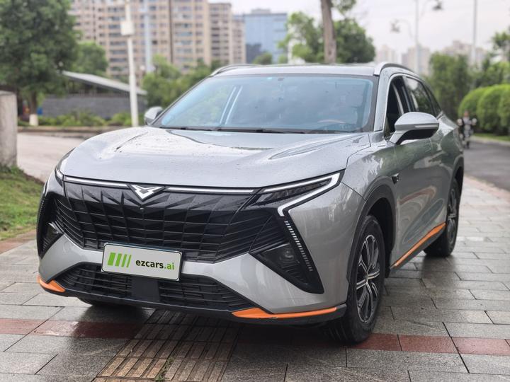 Cowin 2023款 昆仑 300 高原版