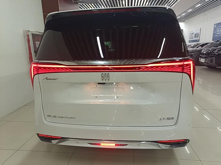 2025 2.0T 6-Seater photo 3