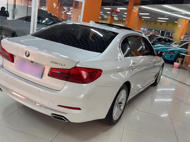 5 Series 2020 530Li Leading Luxury photo 4