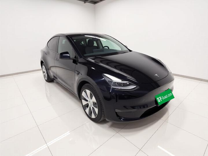 Model Y 2021 Long Range AWD photo 3