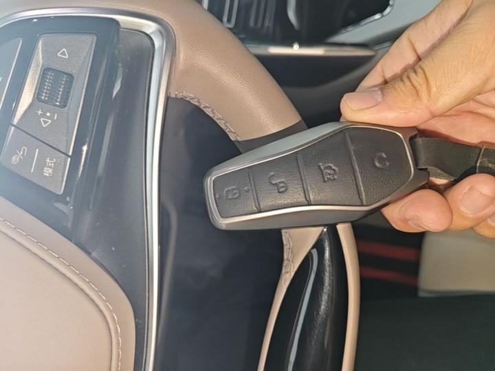 Tang EV 2025 DM-i 115KM Noble photo 8