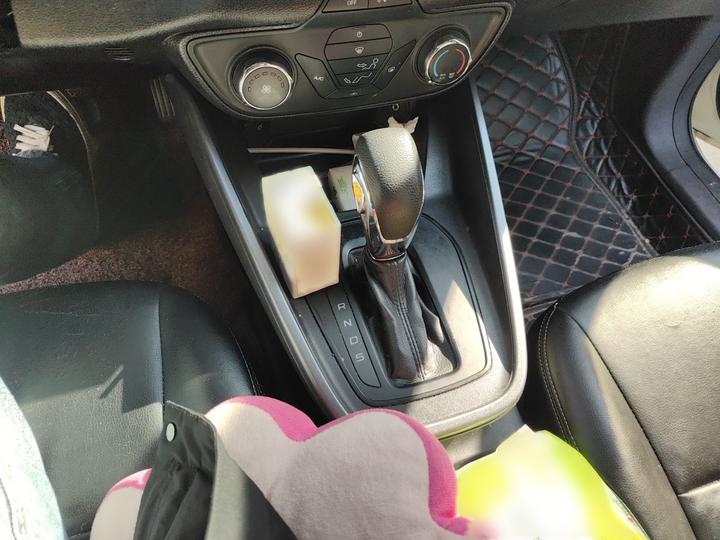 Escort 2019 Facelift 1.5L AT China V photo 6