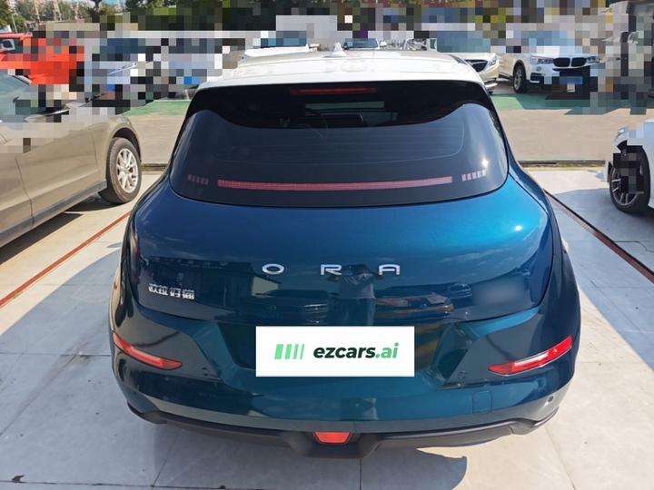 Good Cat 2021 400km Standard Range LFP photo 3