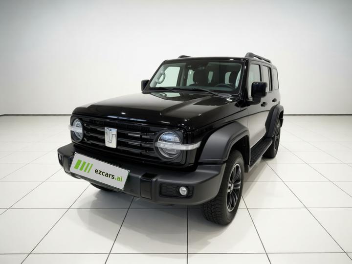 300 2025 2.0T Petrol