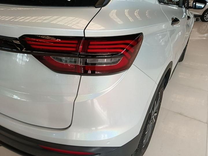 Binyue 2023 1.5T DCT Platinum photo 7
