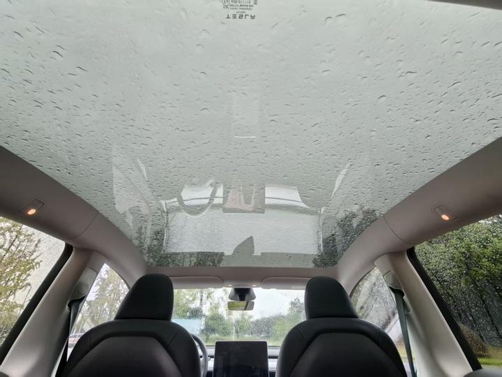Model Y 2024 RWD photo 7